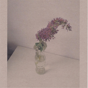 裸体军人无删减版播放
